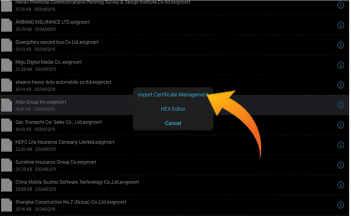 ESign No Longer Available Error